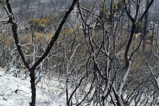 Μανιακός εμπρηστής κυκλοφορεί στο Μαρούσι! Έβαλε τρεις φωτιές μέσα σε 27 λεπτά